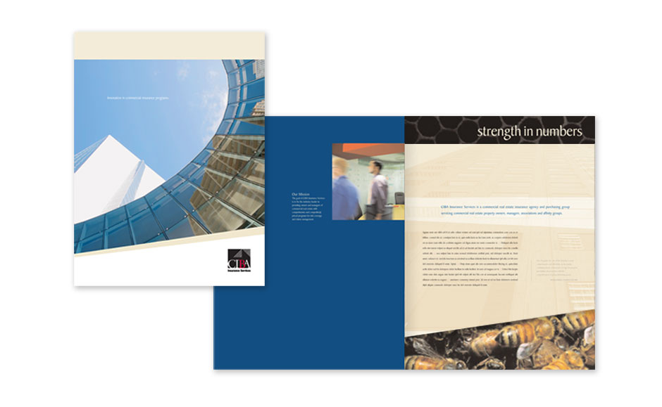 Corporate Brochure Design for CIBA