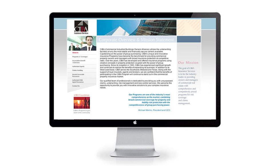 Professional Web Design for CIBA